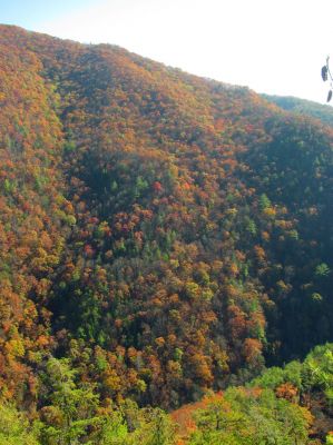 Cliff view looking towards part of Big Pond Mtn 
