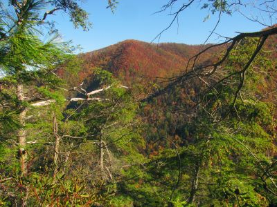 View to left of a ridge top that connects as part of Big Pond Mtn 
