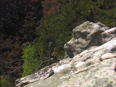 I always see faces or heads of various types when I look at rock formations ! 
