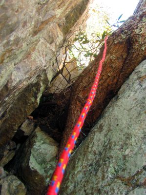 The crack is about 50 feet vertical in height. About half way down is that huge pine tree root which grows sideways out of the crack. It is quite the obstacle actually to get around on this vertical descent. In this pic you can see a small part of the drop from below it. 
