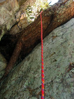 The crack is about 50 feet vertical in height. About half way down is that huge pine tree root which grows sideways out of the crack. It is quite the obstacle actually to get around on this vertical descent. In this pic you can see a small part of the drop from below it. 
