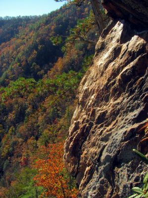 View from cliff side 
