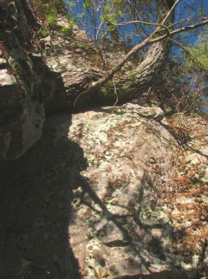 Looking back up beside the crack  that I had just descended down 
