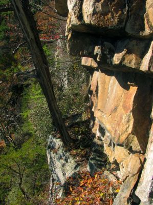 Going left from the rope landing point, I found a VERY narrow ledge that I followed a long ways around the side of the cliffs. It is about 60 feet down from the top and there is about a 70 to 80 foot vertical drop below it where you would hit ground that is far from anything called level. 
