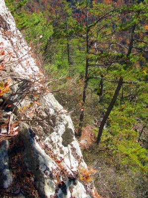 Looking back towards the main spine (from the ledge) you can see John Forbes below if you look close ! 
