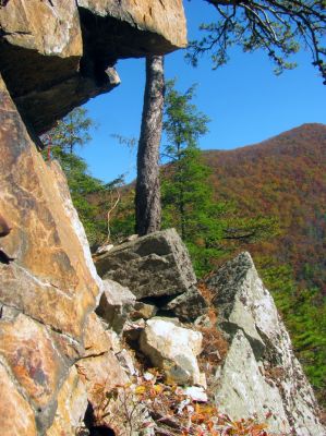 My view looking back at Fornication Point (where the bottom of the crack and rope is) as seen from the ledge I was exploring
