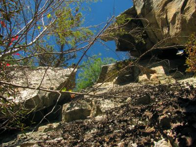 Looking up  at the left part of the cliff tops from my puckering ledge perch
