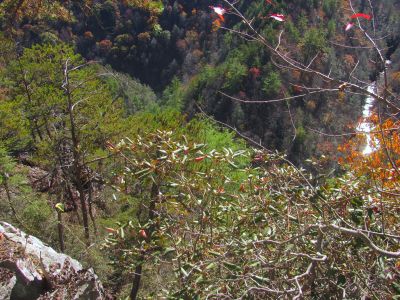 Looking down at the Laurel Creek (gorge) from the ledge 

