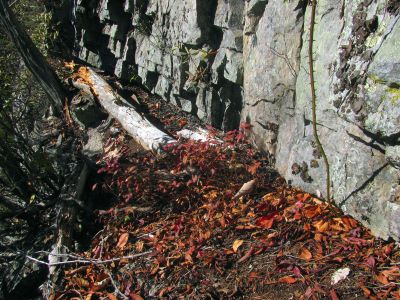 The undercut edge where the fanged critters live 
