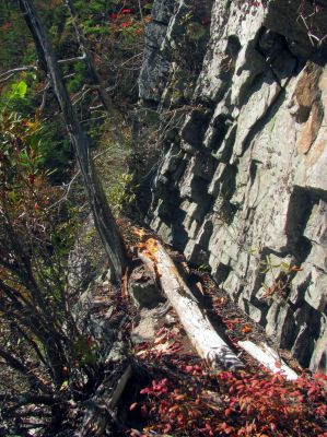 The undercut edge where the fanged critters live 
