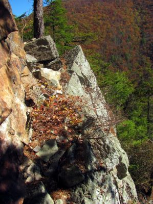 making my way back across the ledge to the point to where I can continue down and join john for more exploration
