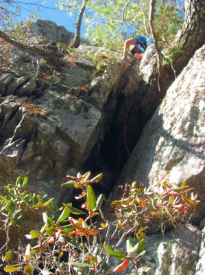 Tyler negotiating the large pine tree root. You can start to see his home made harness which made it much easier
