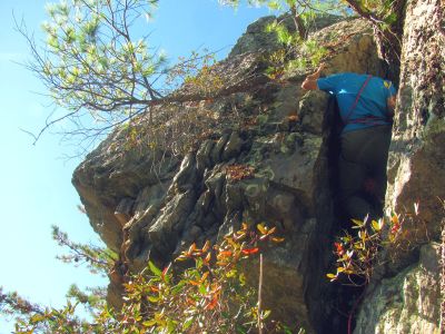 Tyler makes it look easy 
