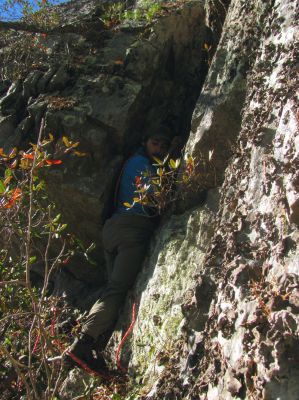 Tyler is almost down ! Again ! 
