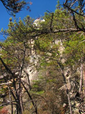 if you look closely you can see Larry Jarret on the tip top of the cliffs as I look back to try and get some scale to the actual height of these amazing cliffs 
