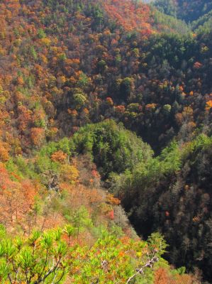 View from the Diamond Rock looking down on where Lower laurel Falls is 
