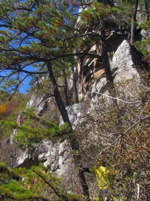 Finally back to the rope landing where we would rest before I gave John a tour of 'the ledge' 
