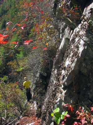 John enjoying his time on the very narrow ledge 
