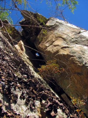 Looking up again from the ledge 
