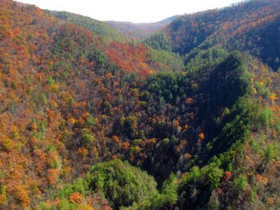 View of the gorge from back on top the cliffs 
