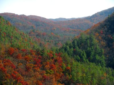 View of the upper gorge realm  from the top of the cliffs
