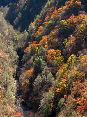 Zoomed shot of Laurel Creek way down below us 
