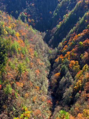 Zoomed shot of Laurel Creek way down below us 
