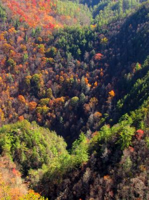 Zoomed shot of Laurel Creek way down below us 
