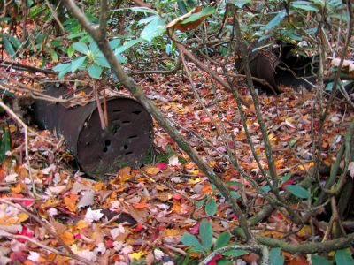 Old moonshine still from days of old we found on our way back up the mountain
