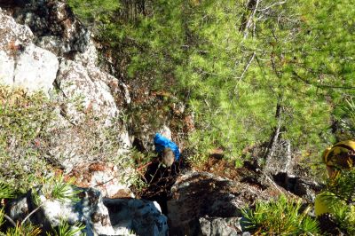 Tyler on his first descent of  the crack using the rope and harness he rigged up as John looks on with much interest  (Taken with my larger camera) 

