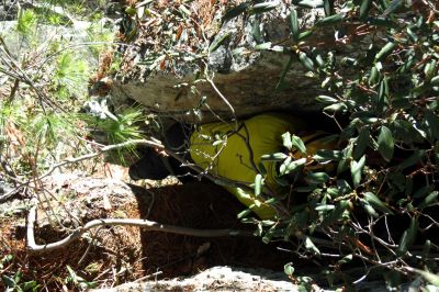 going over the root 
