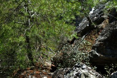 John finally off the rope and is at Fornication Point below. he immediately starts coaxing me to come down ! 
