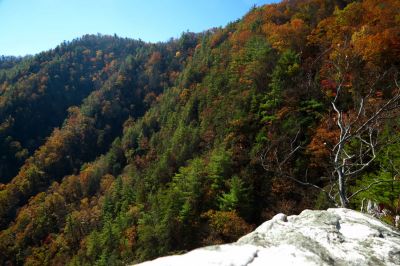 View from cliff top (taken with my larger camera) 
