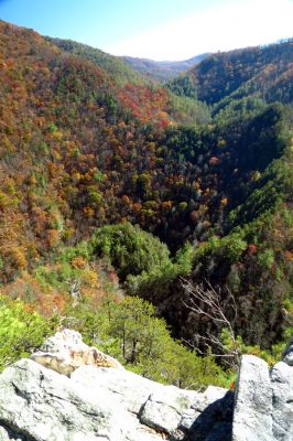 View from cliff top (taken with my larger camera) 
