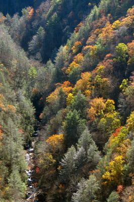 Zoomed view of gorge from cliff top (taken with my larger camera) 
