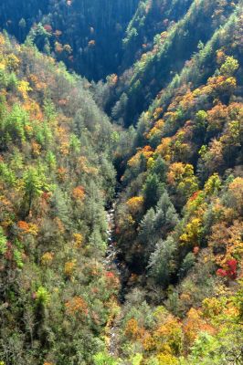 Zoomed view of gorge from cliff top (taken with my larger camera) 
