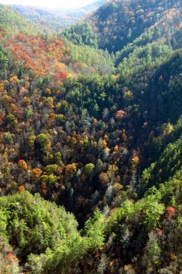 Zoomed view of gorge from cliff top (taken with my larger camera) 
