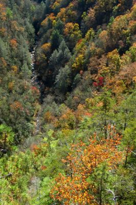 Zoomed view of gorge from cliff top (taken with my larger camera) 
