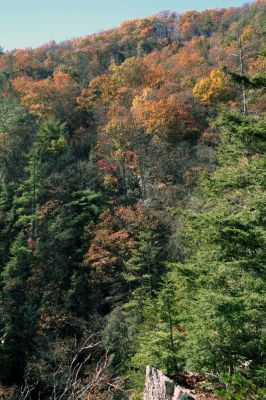 Zoomed view of gorge from cliff top (taken with my larger camera) 
