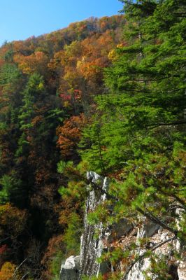 View from cliffs (taken with my larger camera) 
