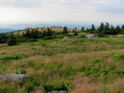grassy ridge
taken 7-11-2010
