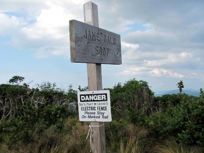 Jane Bald sign
taken 7-11-2010
