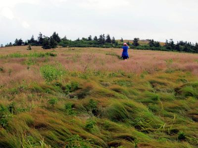 Linda on Grassy Ridge
taken 7-11-2010
