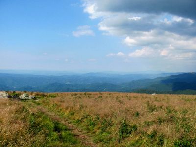 View from Roan balds
Taken 7-11-2010

