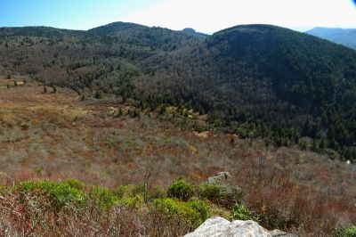 View during the ascent of Sam Knob Taken 10-22-2014
