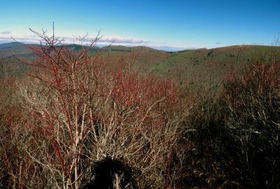 View during the ascent of Sam Knob Taken 10-22-2014
