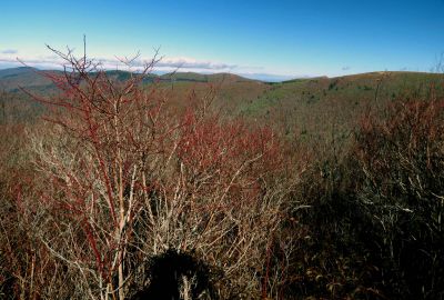 View during the ascent of Sam Knob Taken 10-22-2014
