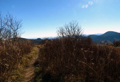View during the ascent of Sam Knob Taken 10-22-2014
