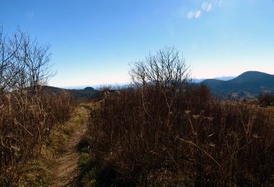 View during the ascent of Sam Knob Taken 10-22-2014
