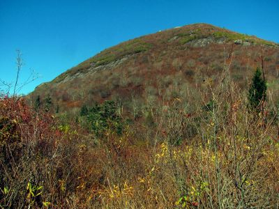 Looking up at part of  Sam Knob from the Flat Laurel Creek Trail  - 10-22-2014
